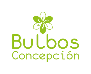 Bulbos Concepción Bulbos Concepción